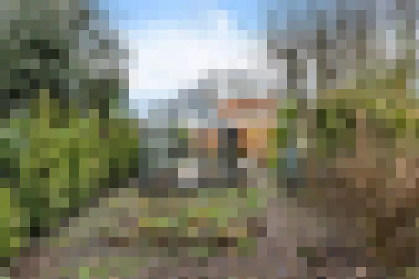 Tramstrjitte 2 Marsum thumbnail 39