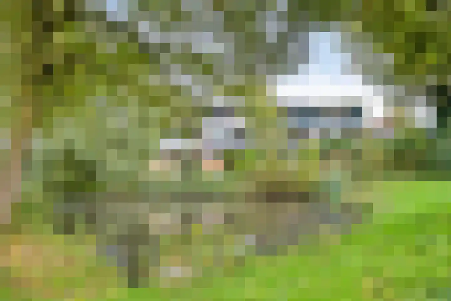 Tramstrjitte 24 Nijland thumbnail 10