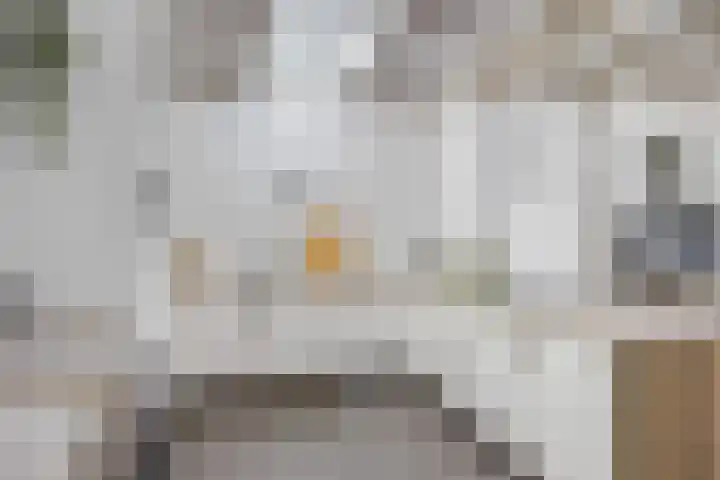 Tramstrjitte 24 Nijland thumbnail 11