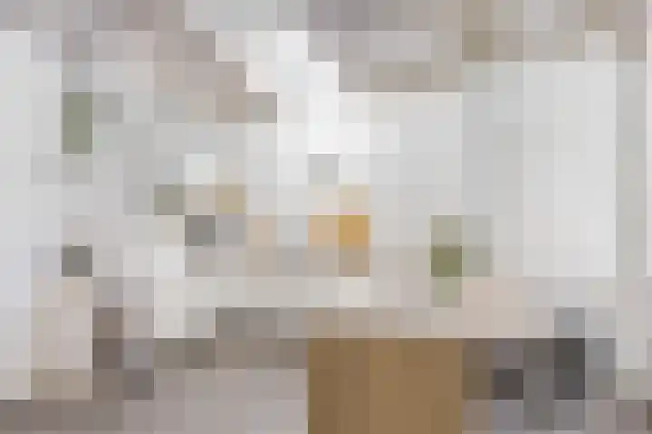 Tramstrjitte 24 Nijland thumbnail 12