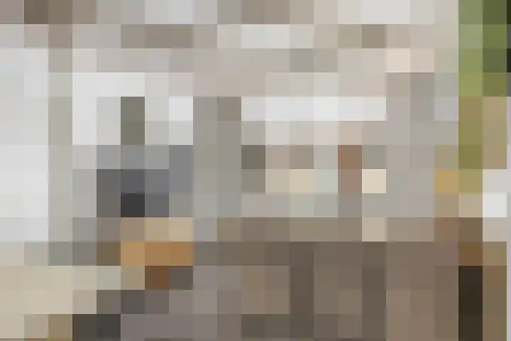 Tramstrjitte 24 Nijland thumbnail 13