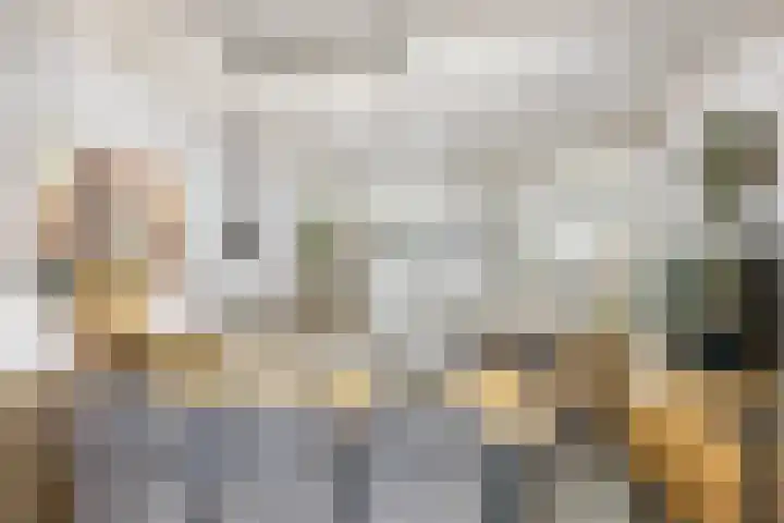 Tramstrjitte 24 Nijland thumbnail 14