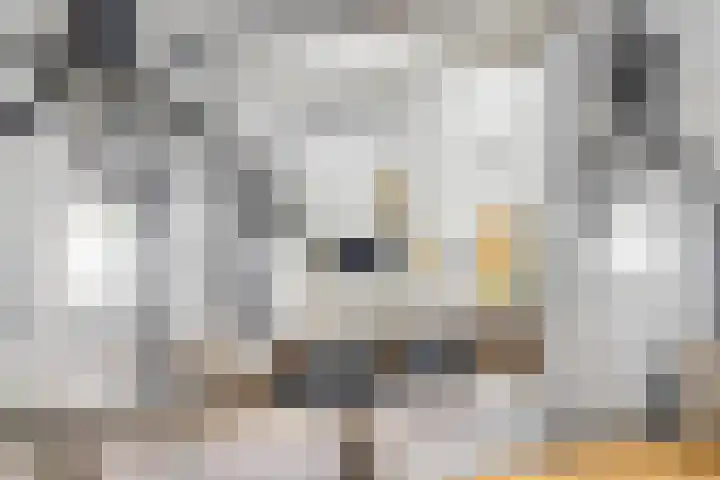 Tramstrjitte 24 Nijland thumbnail 15