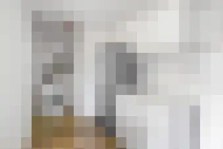 Tramstrjitte 24 Nijland thumbnail 18