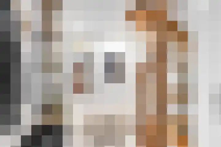 Tramstrjitte 24 Nijland thumbnail 21