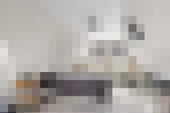 Tramstrjitte 24 Nijland thumbnail 22