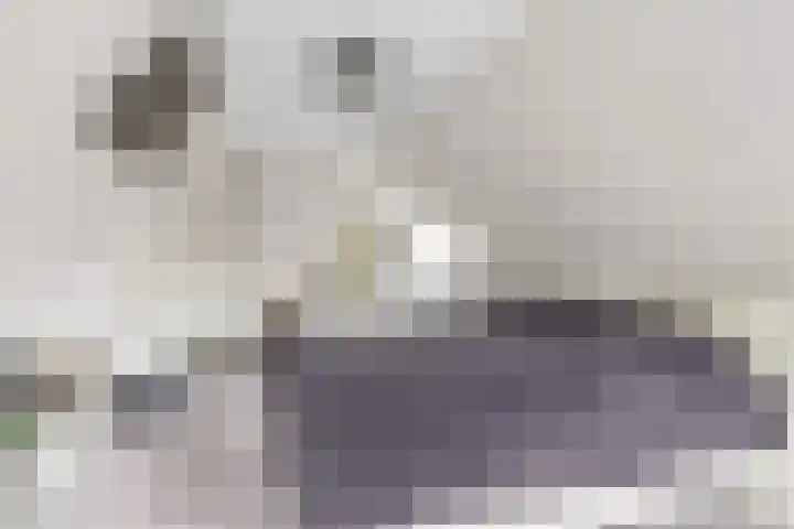 Tramstrjitte 24 Nijland thumbnail 23