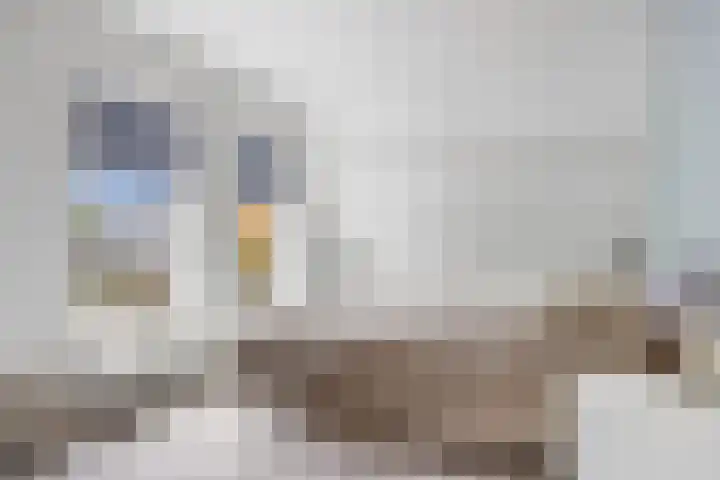 Tramstrjitte 24 Nijland thumbnail 24