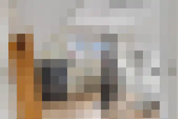 Tramstrjitte 24 Nijland thumbnail 26