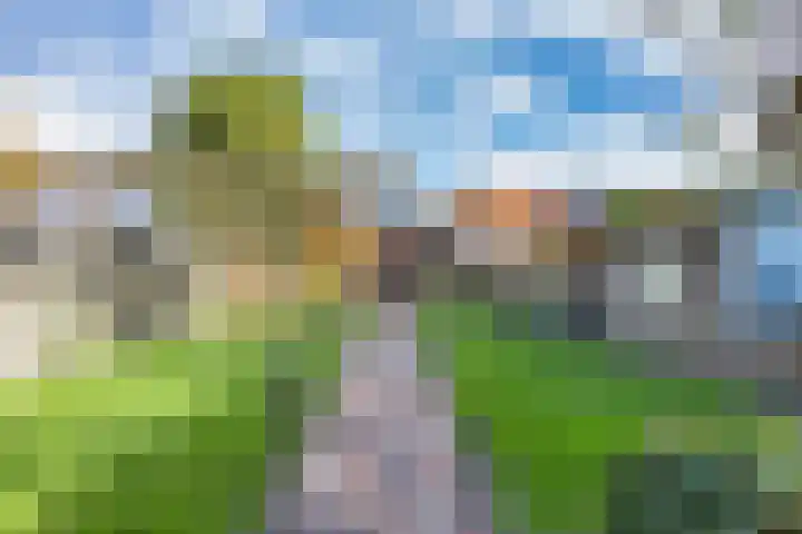 Tramstrjitte 24 Nijland thumbnail 34