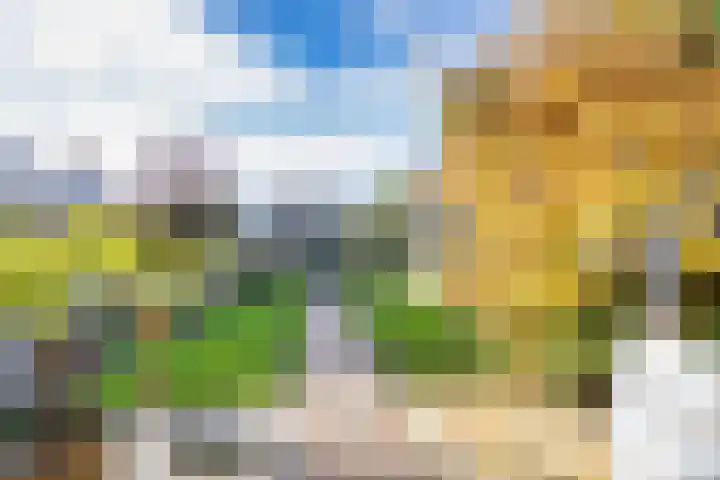 Tramstrjitte 24 Nijland thumbnail 35