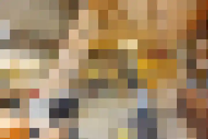 Tramstrjitte 24 Nijland thumbnail 36