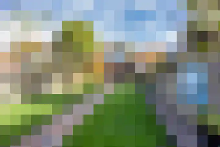 Tramstrjitte 24 Nijland thumbnail 4