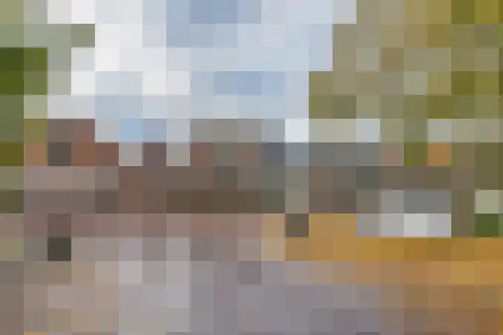 Tramstrjitte 24 Nijland thumbnail 41