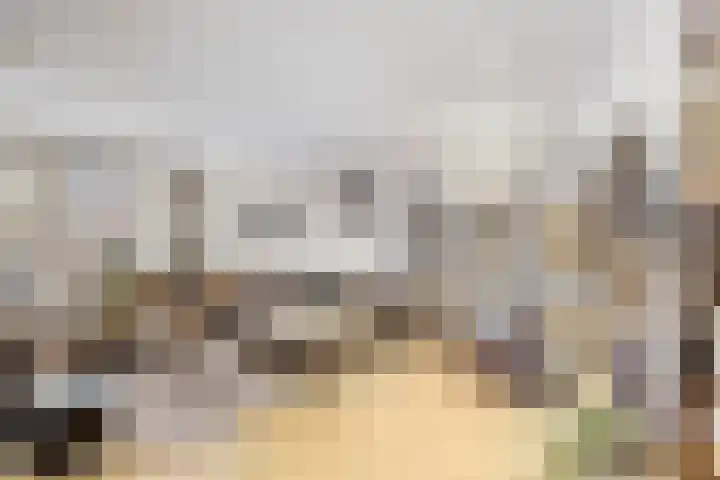 Tramstrjitte 24 Nijland thumbnail 6