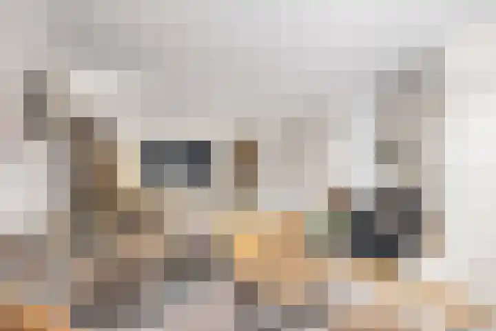 Tramstrjitte 24 Nijland thumbnail 8