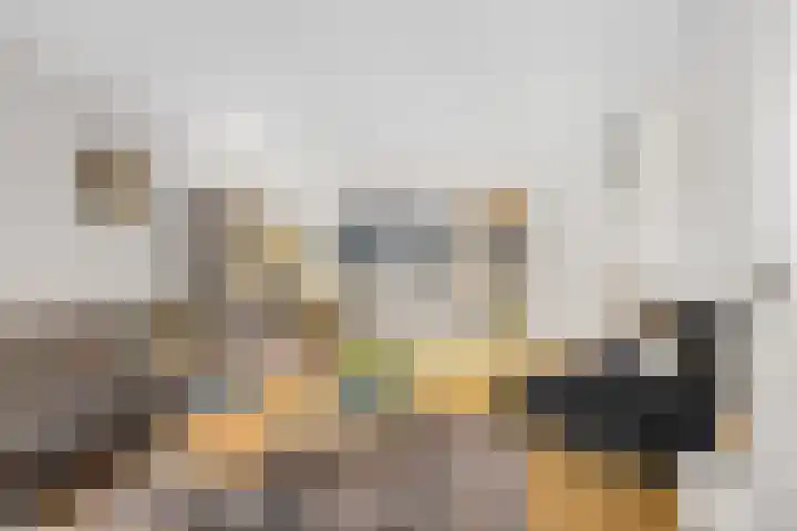 Tramstrjitte 24 Nijland thumbnail 9