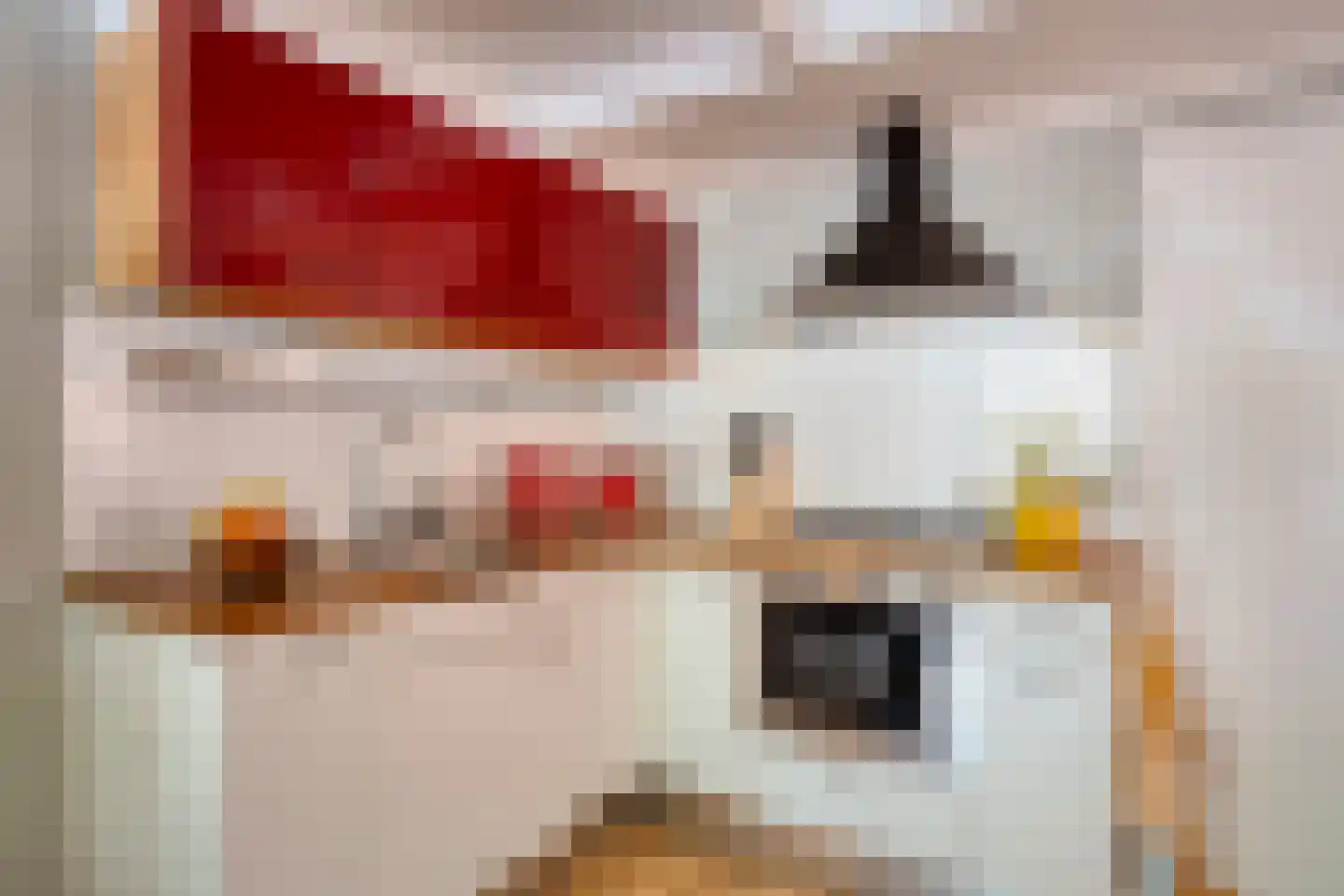 Tramstrjitte 26 Nijland thumbnail 10