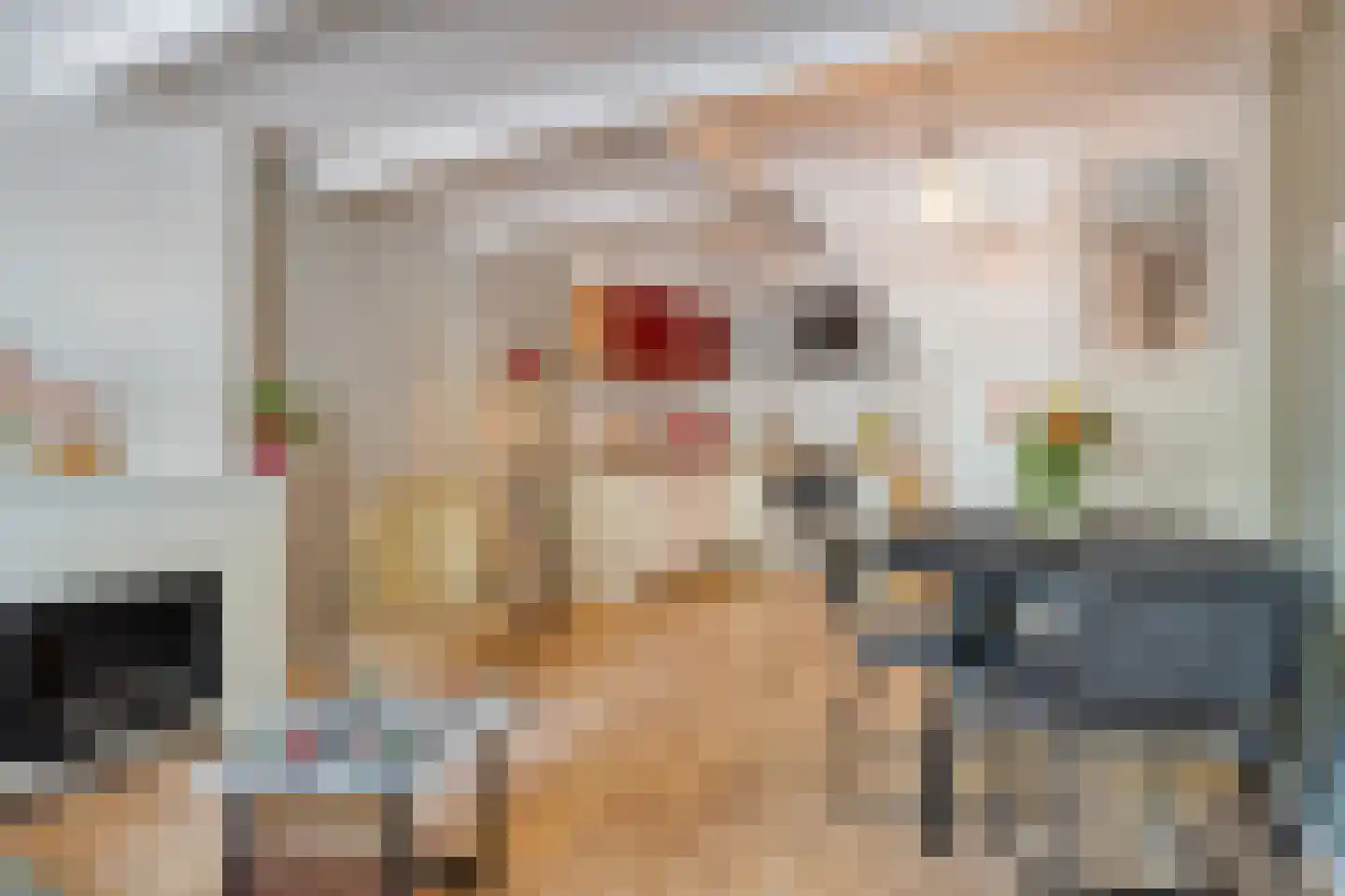 Tramstrjitte 26 Nijland thumbnail 14