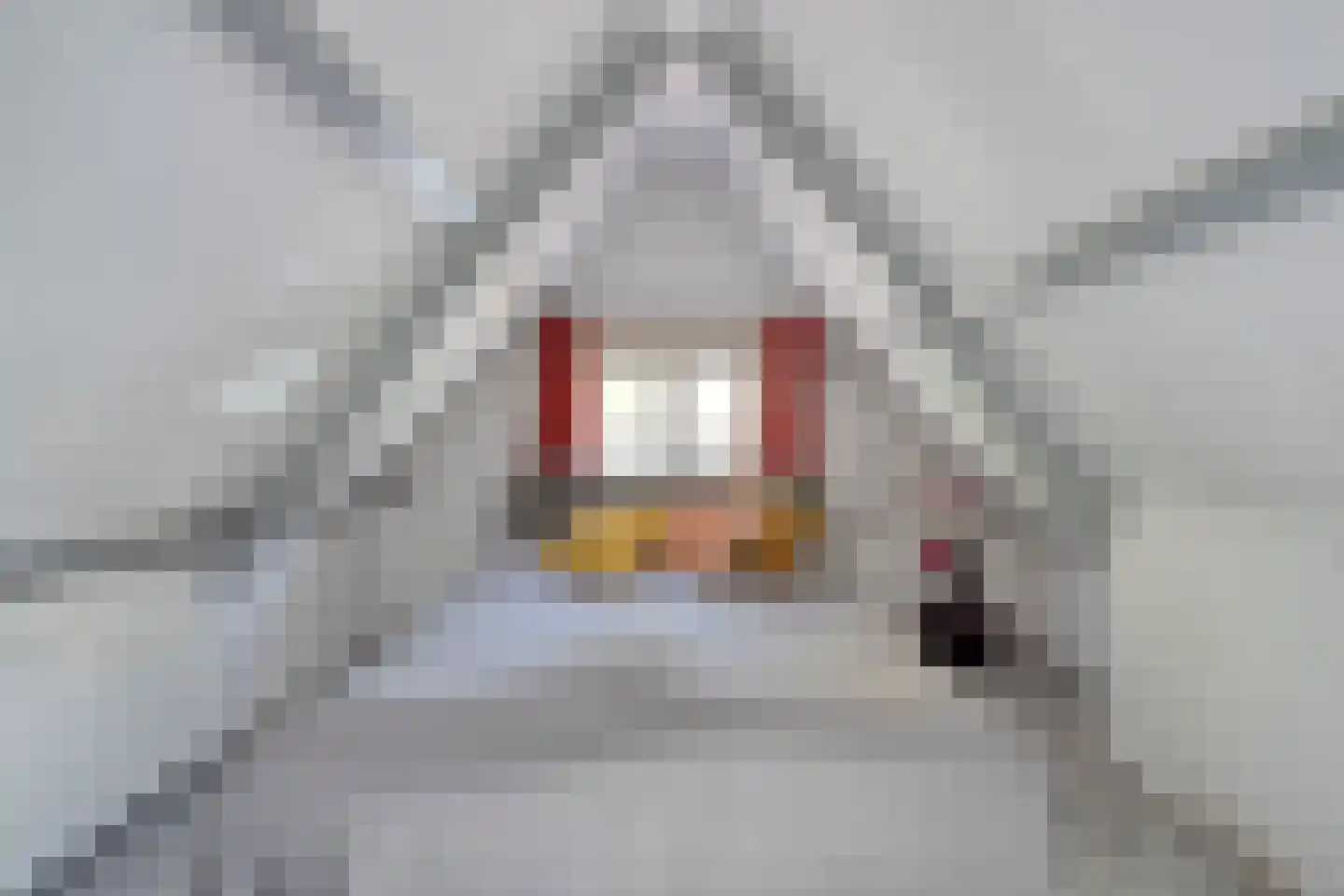 Tramstrjitte 26 Nijland thumbnail 19