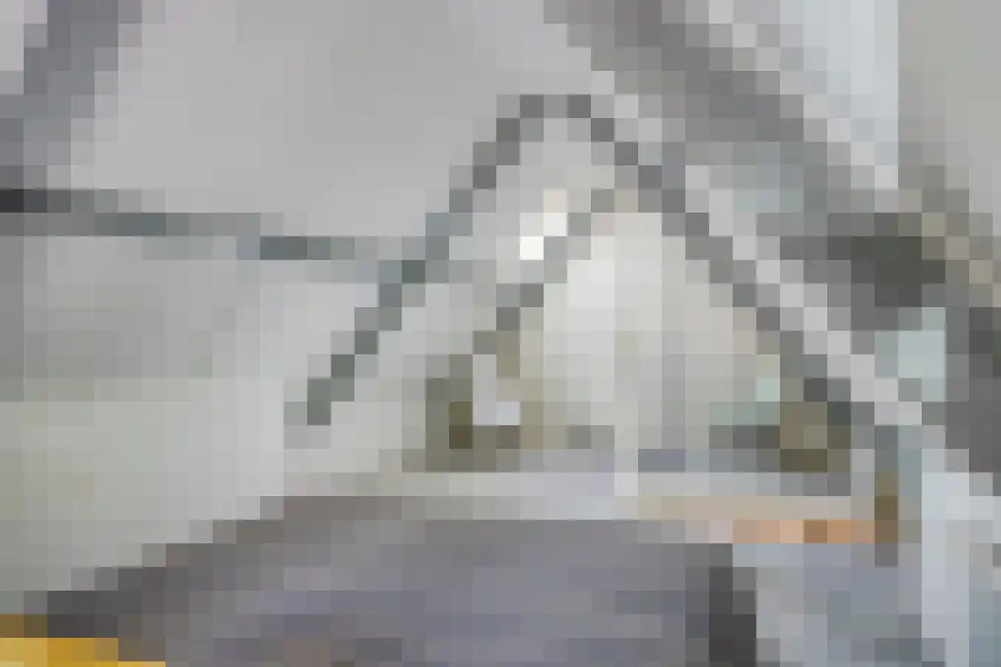 Tramstrjitte 26 Nijland thumbnail 20