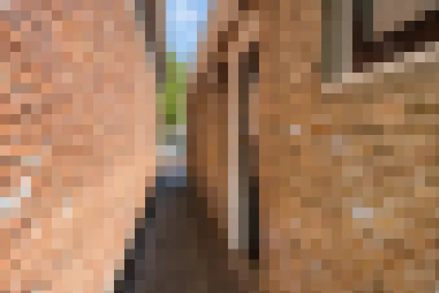 Tramstrjitte 26 Nijland thumbnail 22