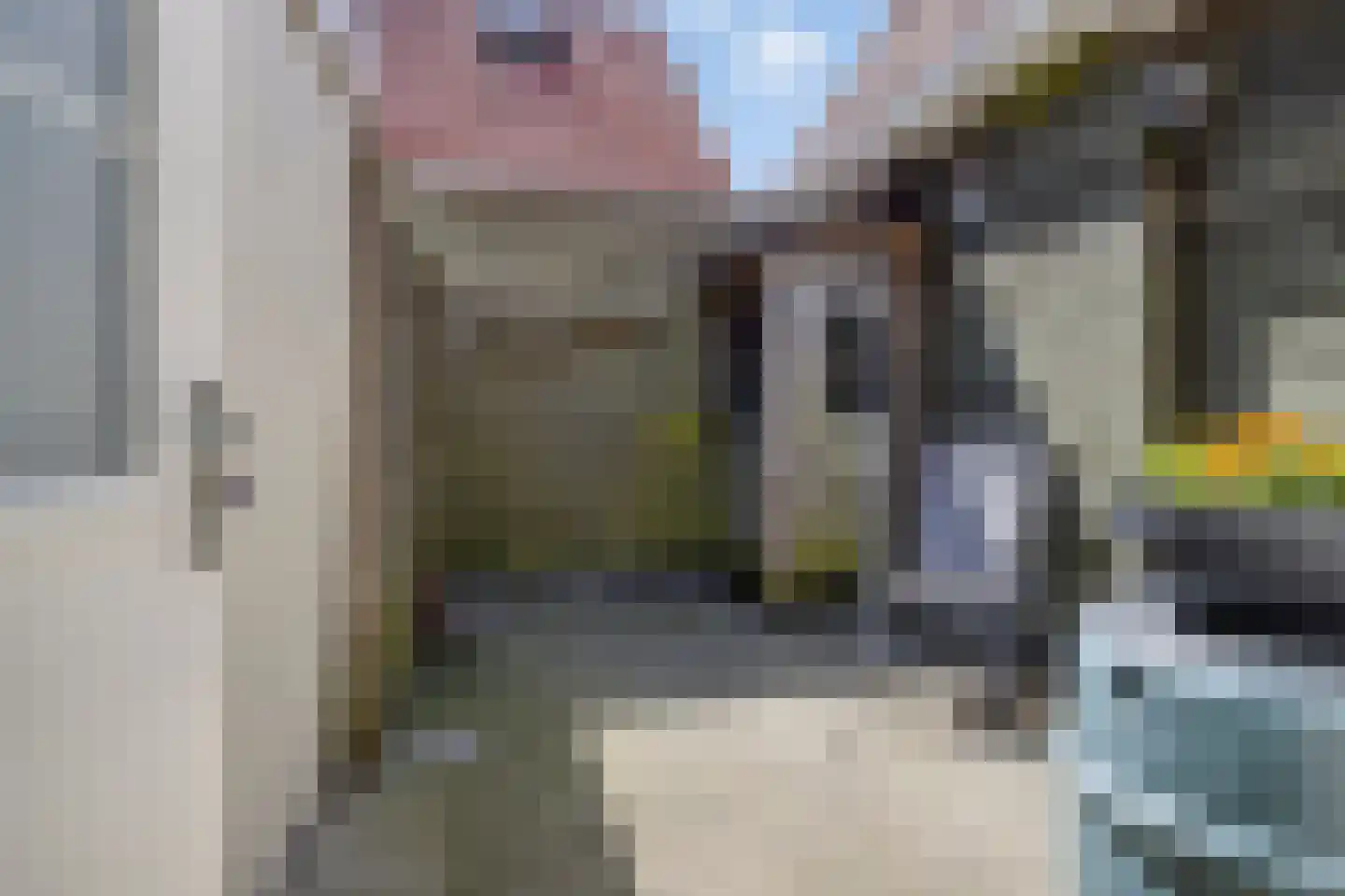 Tramstrjitte 26 Nijland thumbnail 23