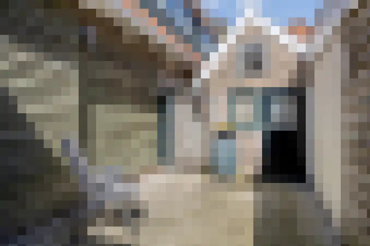 Tramstrjitte 26 Nijland thumbnail 24