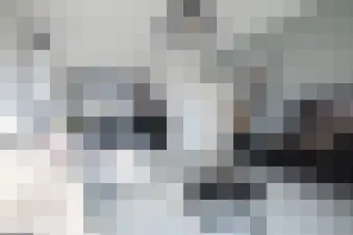 Tramstrjitte 3 Nijland thumbnail 15