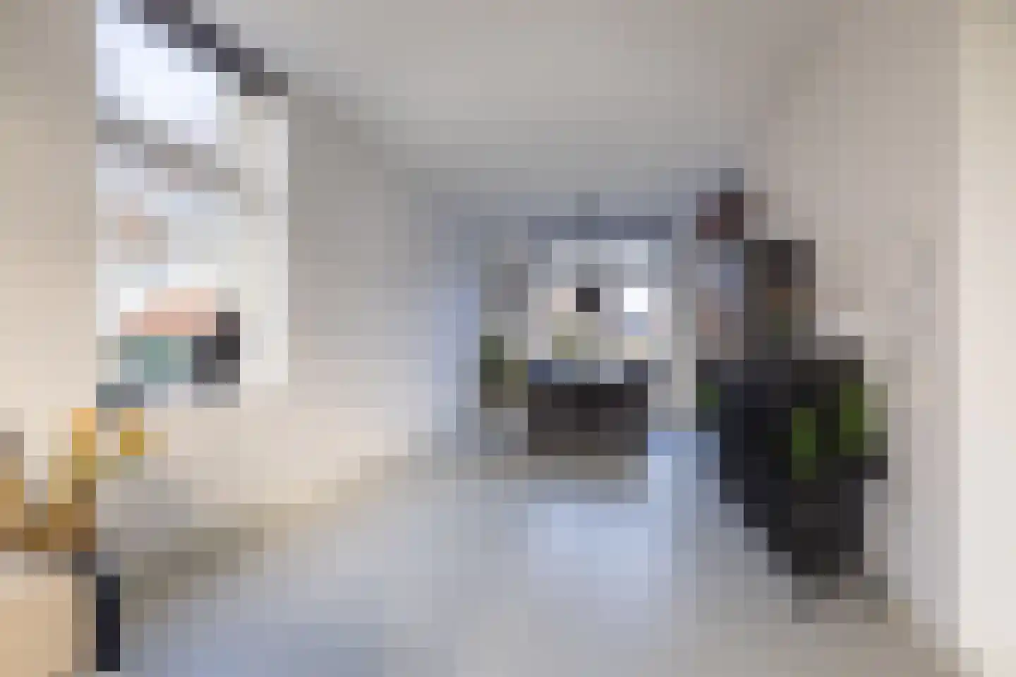 Tramstrjitte 3 Nijland thumbnail 17