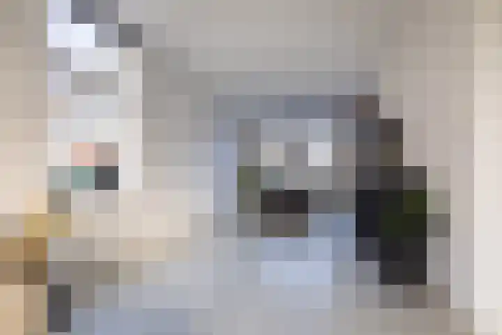 Tramstrjitte 3 Nijland thumbnail 17