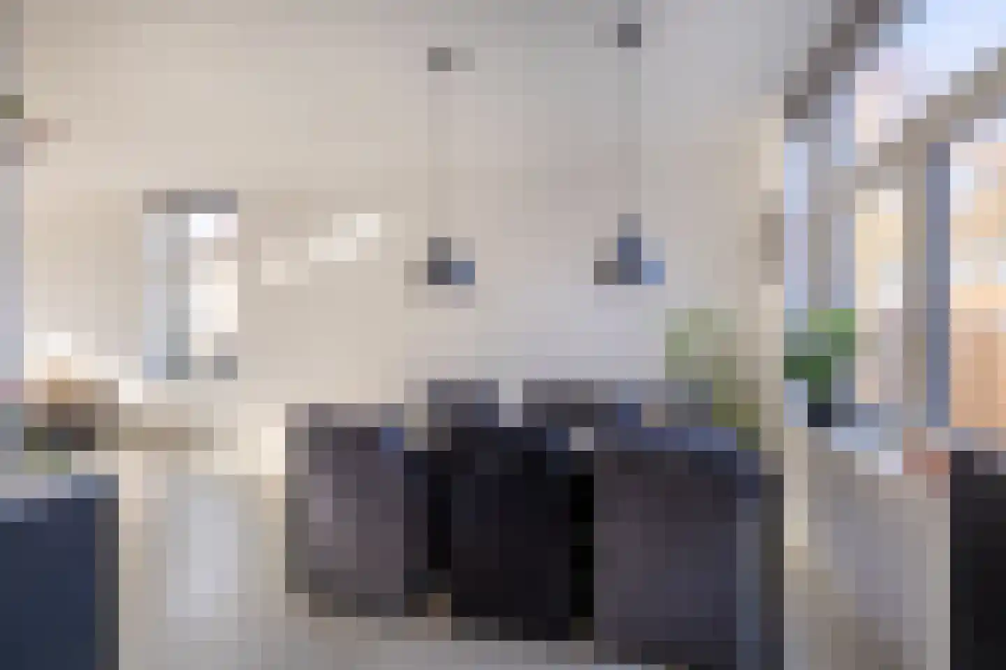 Tramstrjitte 3 Nijland thumbnail 23