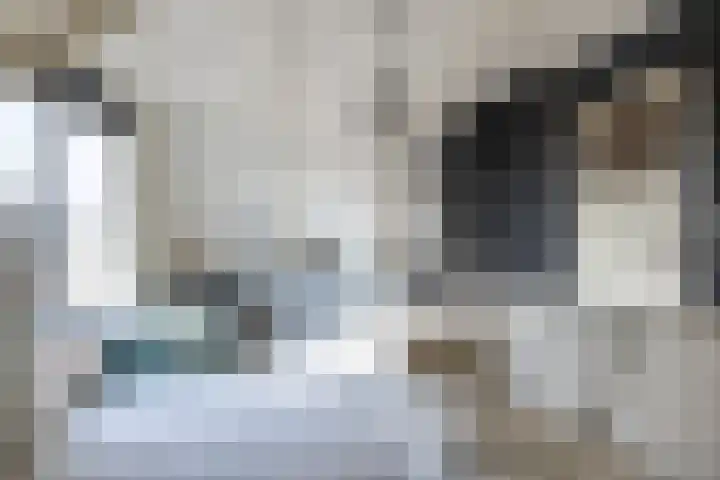 Tramstrjitte 3 Nijland thumbnail 27