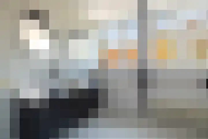 Tramstrjitte 3 Nijland thumbnail 30