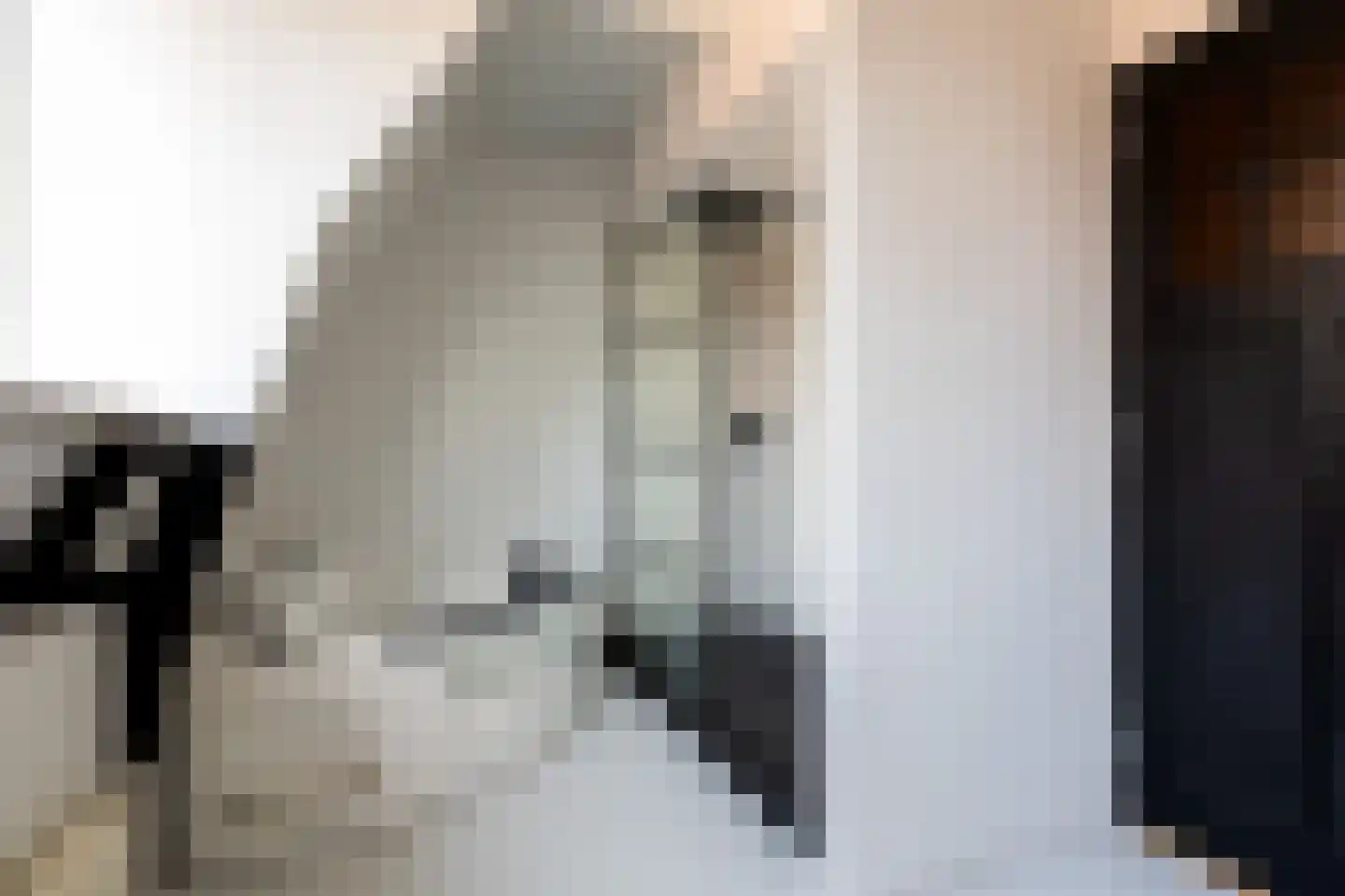 Tramstrjitte 3 Nijland thumbnail 31