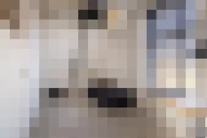 Tramstrjitte 3 Nijland thumbnail 34
