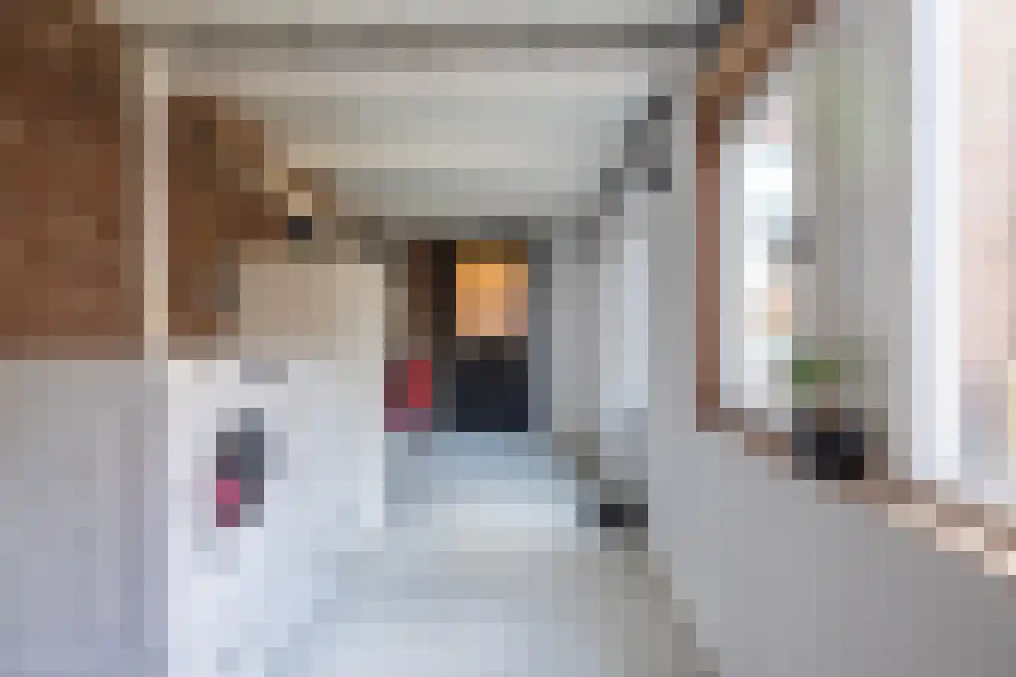 Tramstrjitte 3 Nijland thumbnail 35