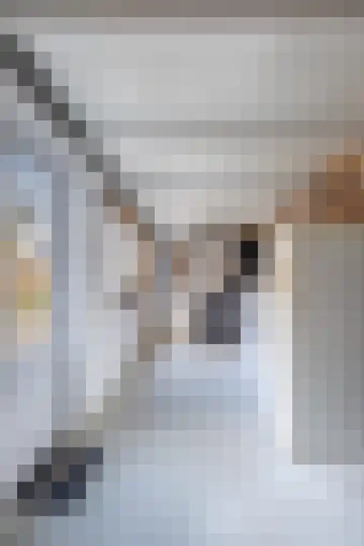 Tramstrjitte 3 Nijland thumbnail 36