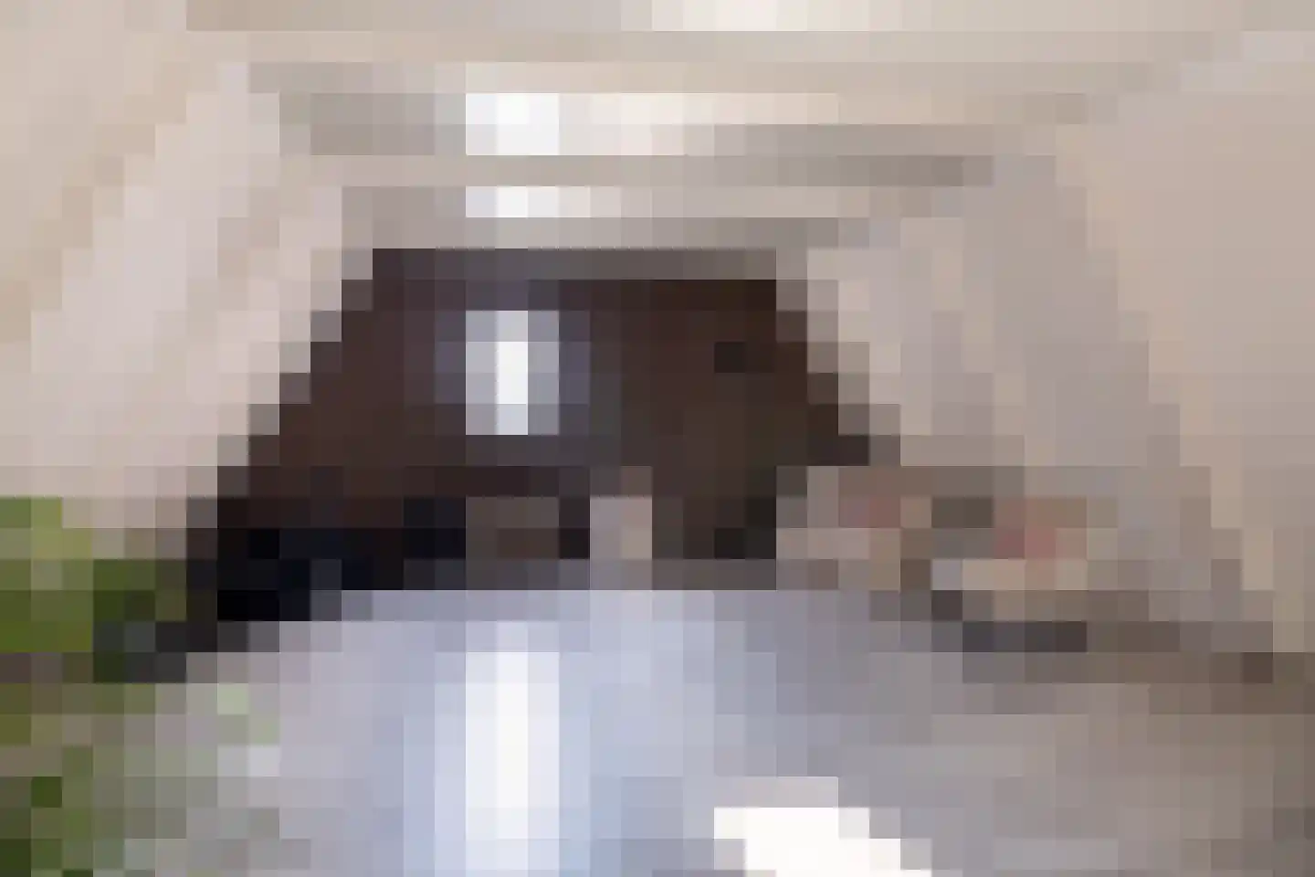 Tramstrjitte 3 Nijland thumbnail 37