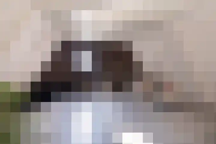 Tramstrjitte 3 Nijland thumbnail 37