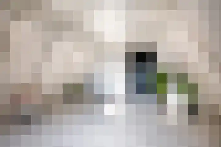 Tramstrjitte 3 Nijland thumbnail 38