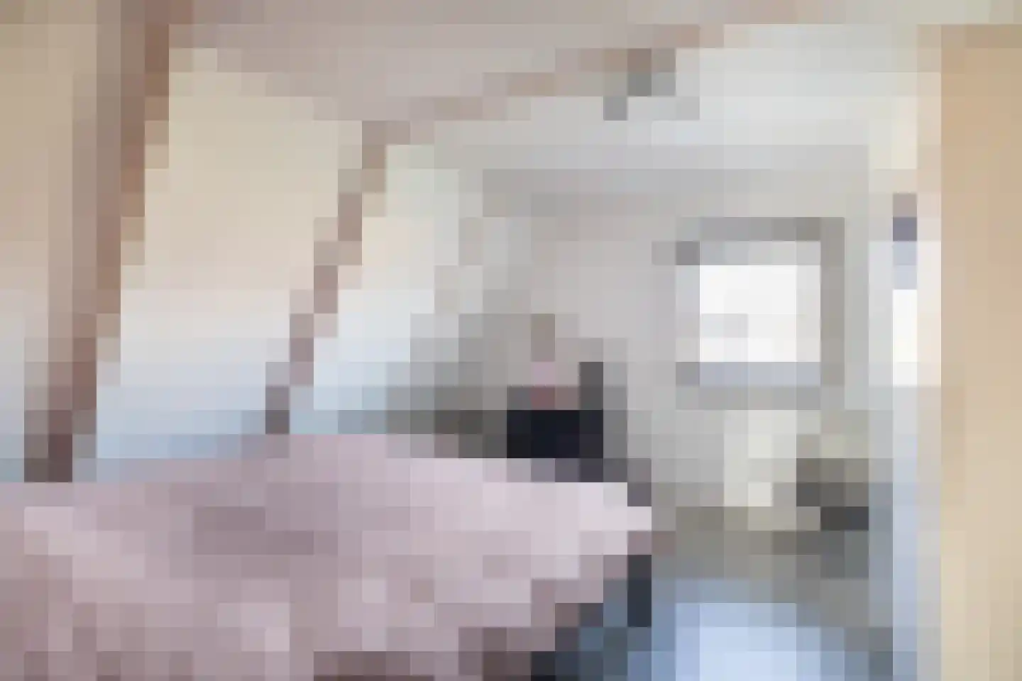 Tramstrjitte 3 Nijland thumbnail 39