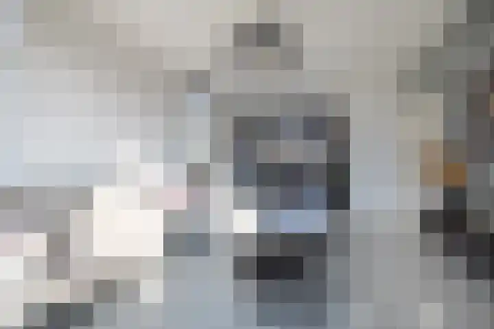 Tramstrjitte 3 Nijland thumbnail 4