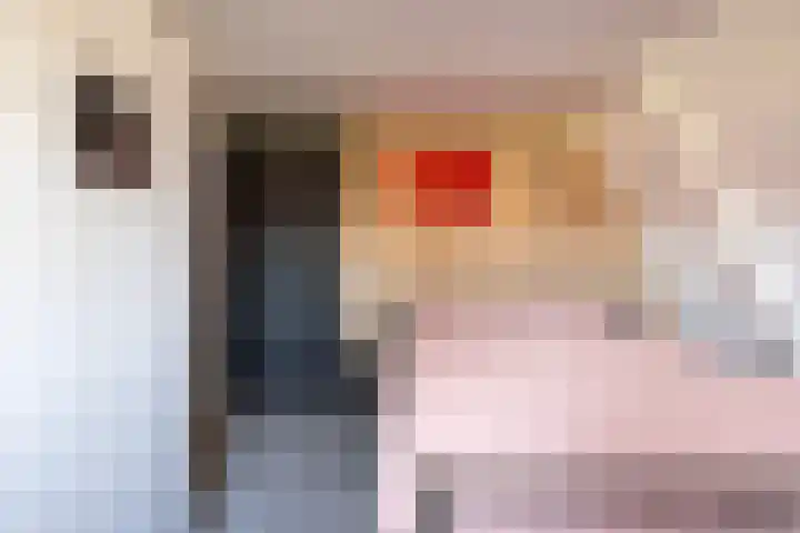 Tramstrjitte 3 Nijland thumbnail 40