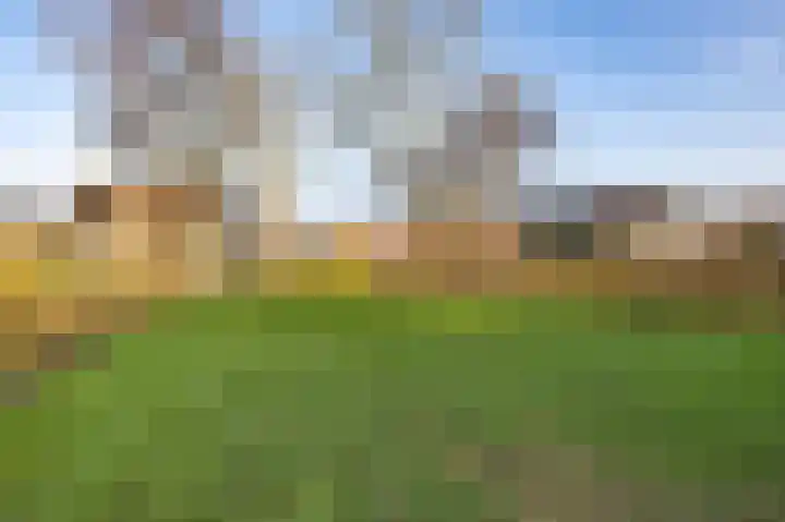 Tramstrjitte 3 Nijland thumbnail 43