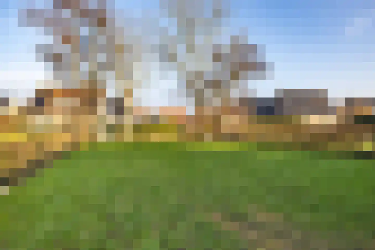 Tramstrjitte 3 Nijland thumbnail 43