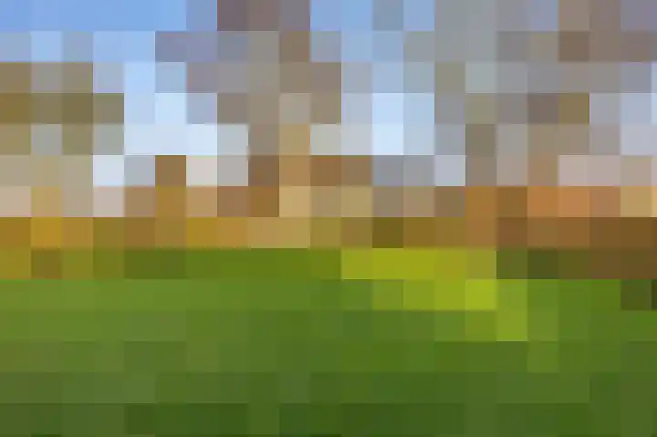 Tramstrjitte 3 Nijland thumbnail 44