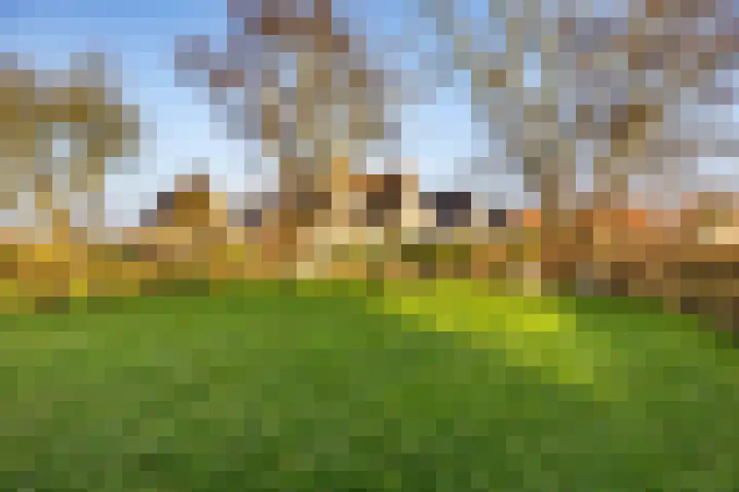 Tramstrjitte 3 Nijland thumbnail 44