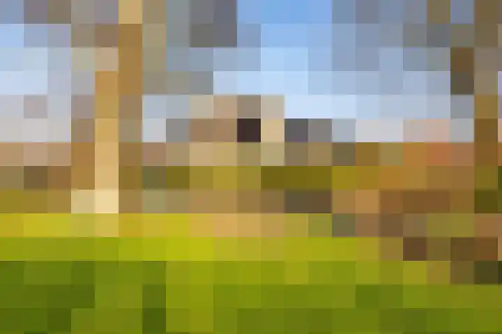 Tramstrjitte 3 Nijland thumbnail 45