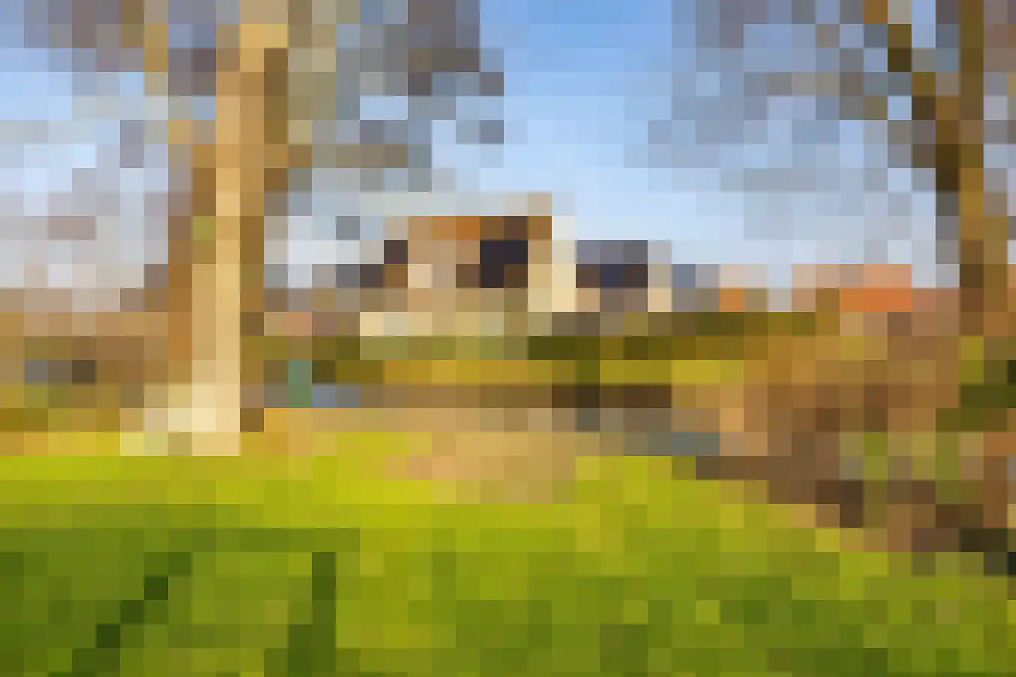 Tramstrjitte 3 Nijland thumbnail 45